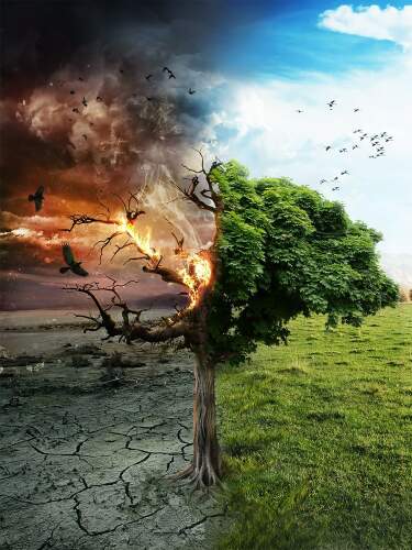 Nasza przyszłość: pustkowie czy życie?